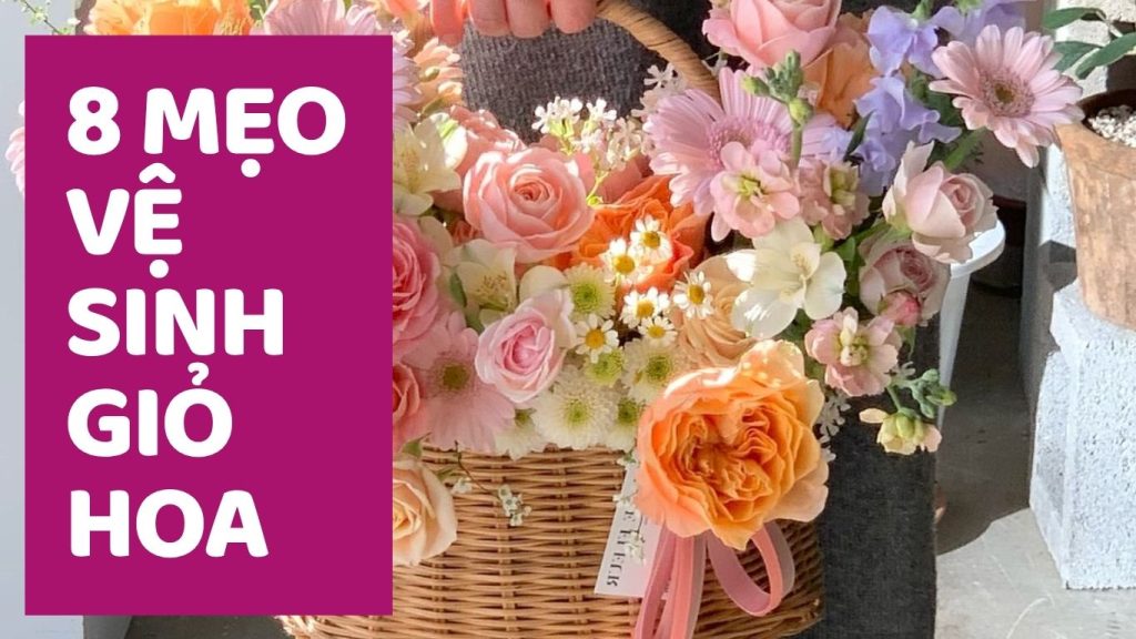 8 mẹo vệ sinh giỏ hoa sáp đunghs cách