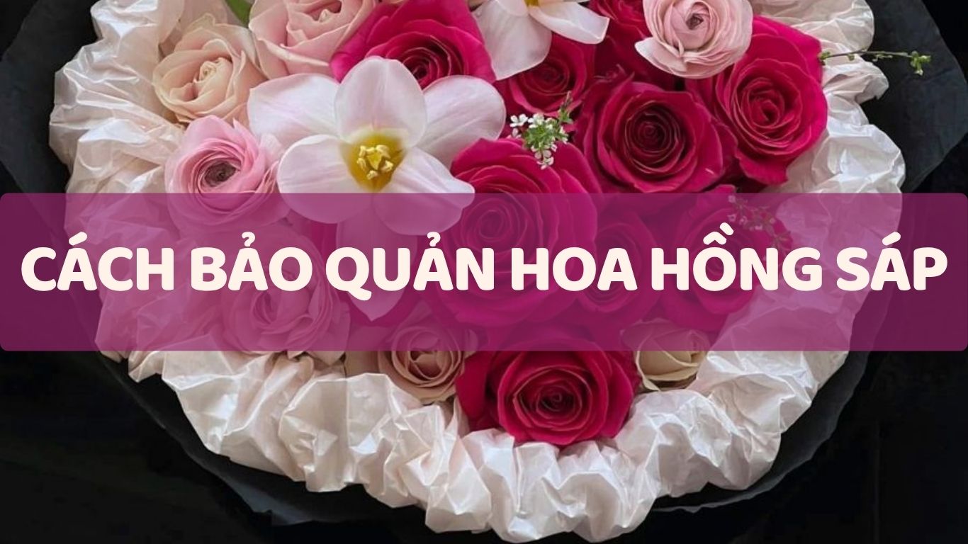 Hướng Dẫn Cách Bảo Quản Hoa Hồng Sáp Đúng Cách Tại Nhà. Các Mẹo Đơn Giản Giúp Hoa Sáp Hạn Chế Bám Bụi, Không Phai Màu Và Giữ Được Vẻ Đẹp Lâu Dài Theo Thời Gian.