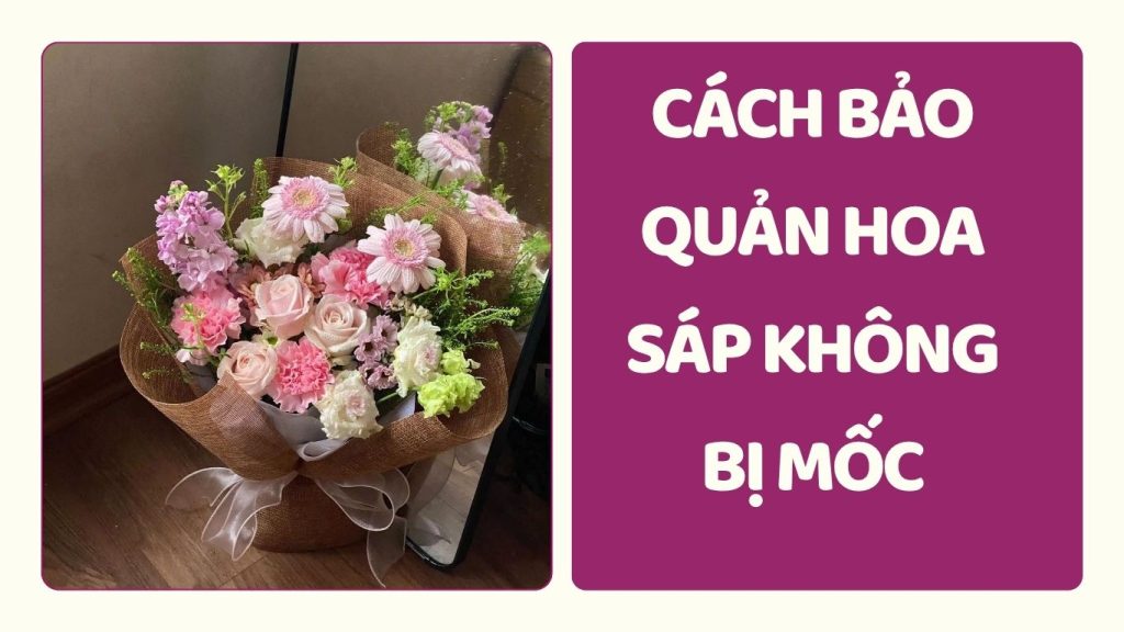 Hình ảnh hướng dẫn cách bảo quản hoa sáp thơm không bị mốc ẩm, giữ màu sắc tươi tắn và hương thơm bền lâu theo thời gian. Đây là những mẹo nhỏ vô cùng hữu ích giúp bạn lưu giữ vẻ đẹp của bó hoa sáp trang trí trong nhà một cách đơn giản và hiệu quả nhất.