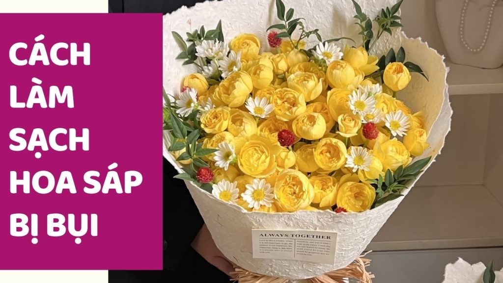 Cách làm sạch hoa sáp bị bụi bằng phương pháp đơn giản giúp bó hoa sáp luôn sạch đẹp, bền màu và giữ được vẻ đẹp như mới theo thời gian.